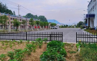 安能物流桥下镇小京岙村