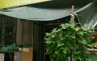 百事汇通沈河区网点查询