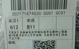 泰山区中通快递网点在哪？怎么查？