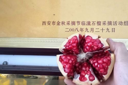 临潼百世快递分部具体位置在哪？-第2张图片-智迈物流科技网