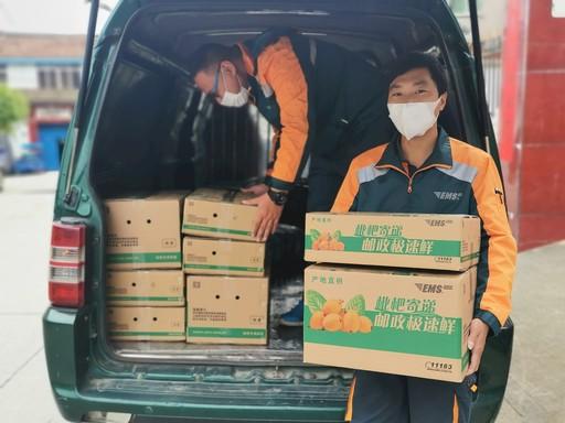 昆明西山区EMS网点电话怎么查？-第2张图片-智迈物流科技网