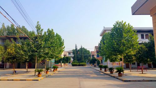 蒲城孙镇百世快递网点怎么了？-第3张图片-智迈物流科技网