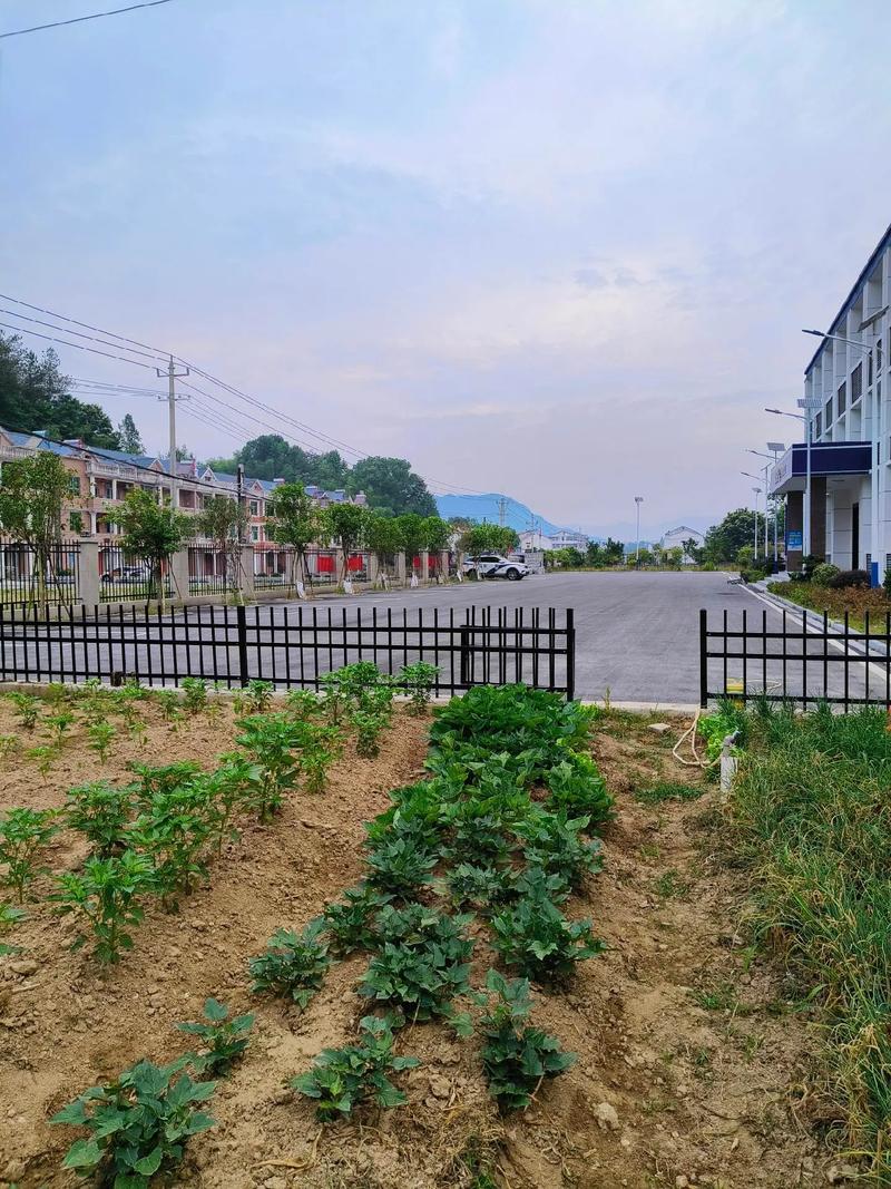 安能物流桥下镇小京岙村-第1张图片-智迈物流科技网