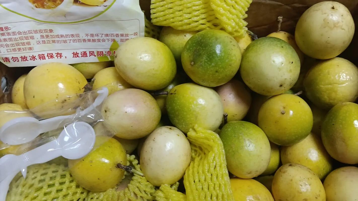 百世快递邮寄单号在哪看-第3张图片-智迈物流科技网