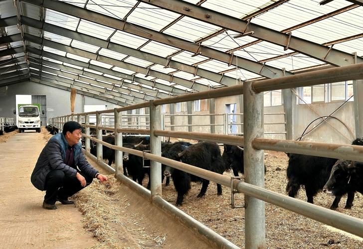 青海大通百世快递在哪里-第1张图片-智迈物流科技网 青海大通百世快递在哪里-第1张图片-智迈物流科技网