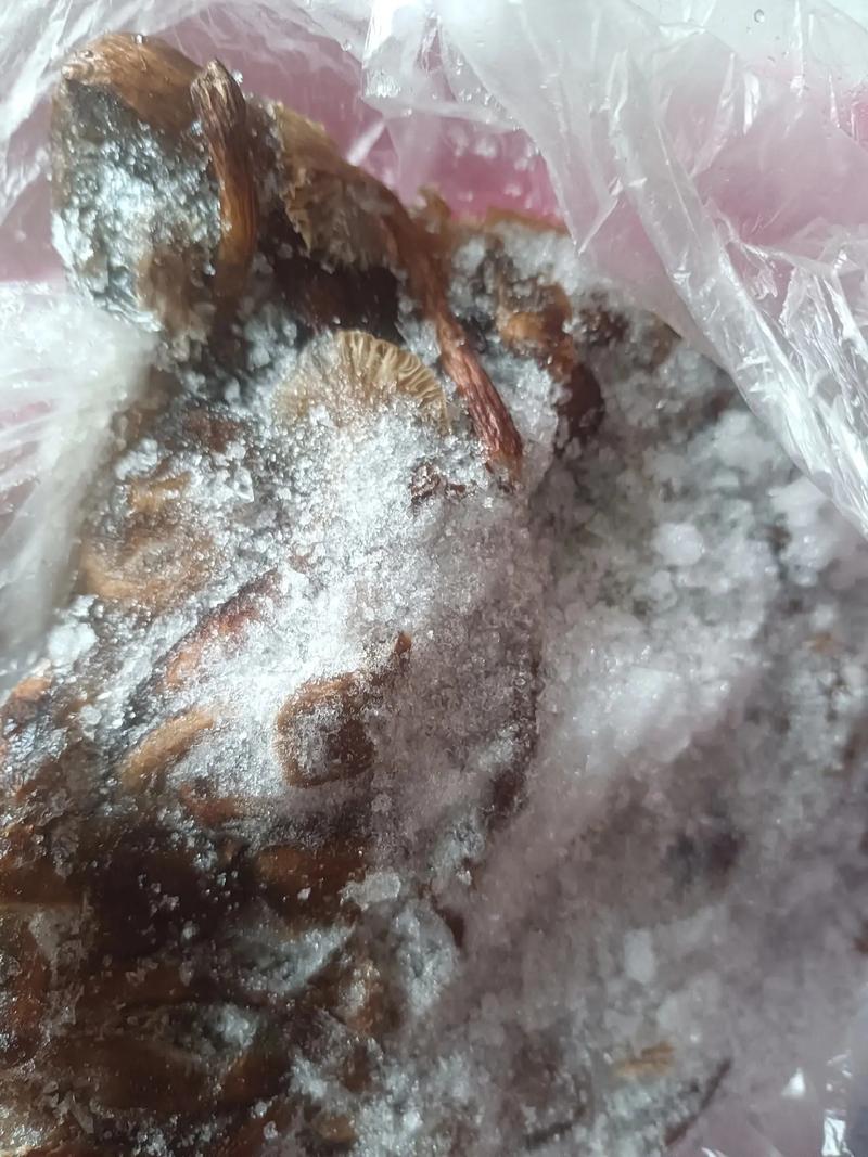 百世快递单号编码是几位数?-第1张图片-智迈物流科技网 百世快递单号编码是几位数?-第1张图片-智迈物流科技网