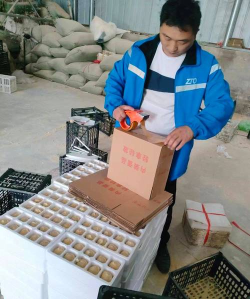 尉氏县百世快递刘海是哪家网点？-第1张图片-智迈物流科技网