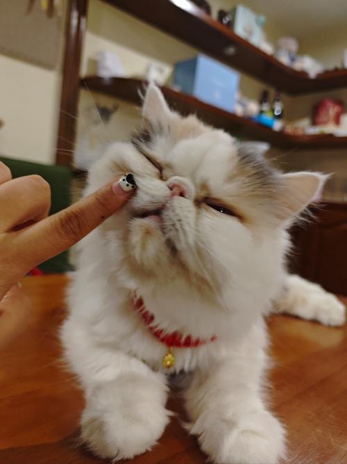 惠州百世快递投诉电话是多少？-第2张图片-智迈物流科技网