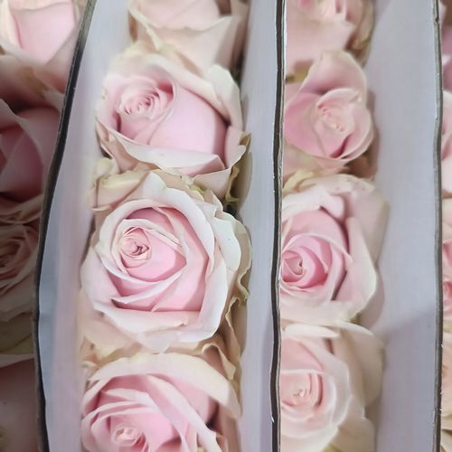 百世快递哈尔滨网点分布-第1张图片-智迈物流科技网