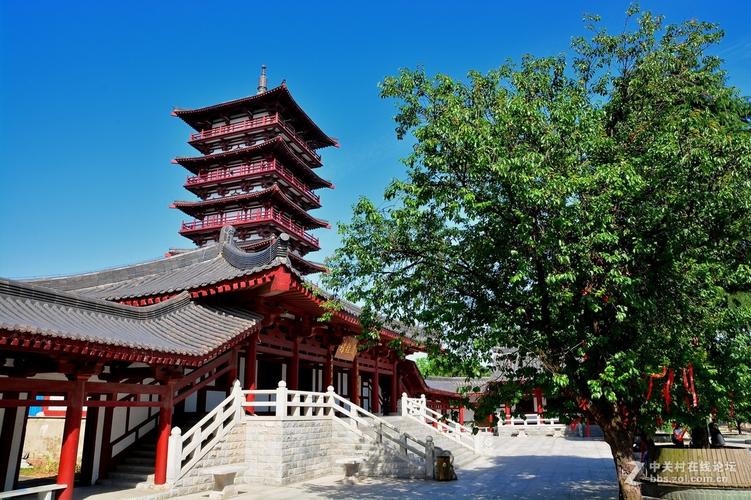 合肥紫蓬山顺丰网点在哪？-第1张图片-智迈物流科技网