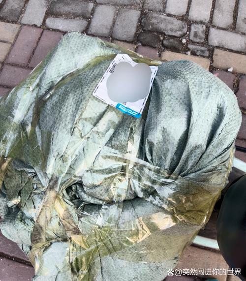 济南百世快递为何被称真垃圾？-第2张图片-智迈物流科技网