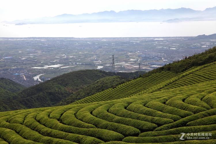 宁波东钱湖安能物流电话多少？-第3张图片-智迈物流科技网